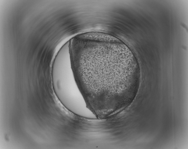 X0000099971200200806131525