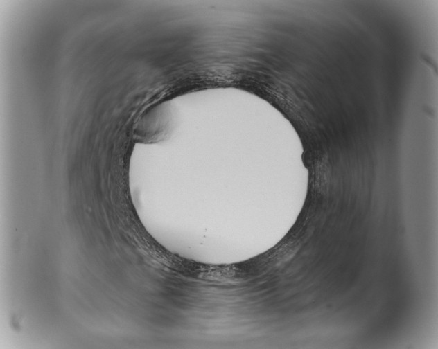 X0000099971201200806131524