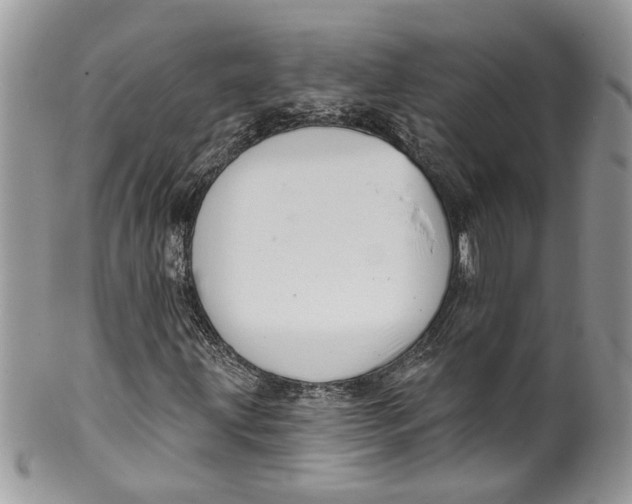 X0000099971203200806131524