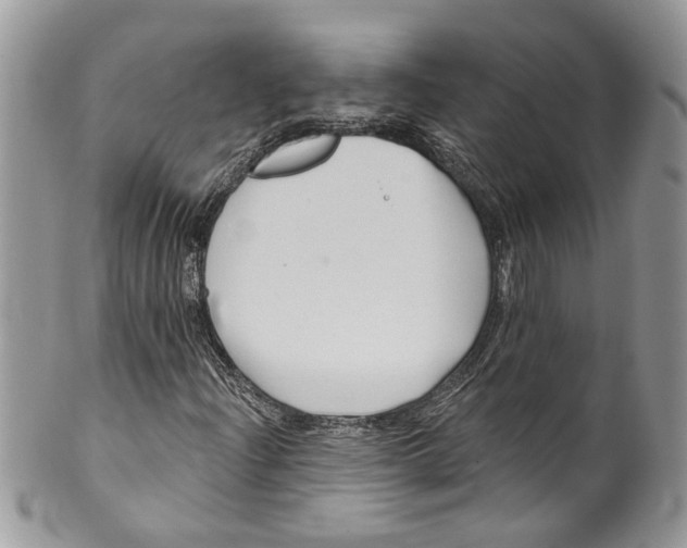 X0000099971204200806131524