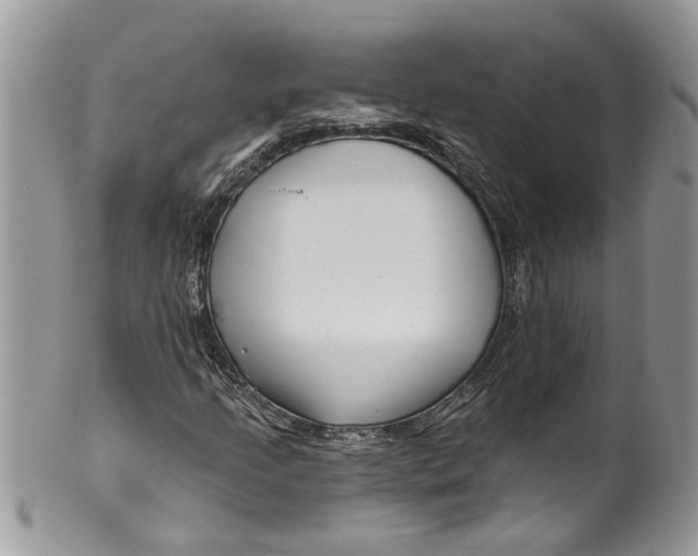 X0000099971205200806131524