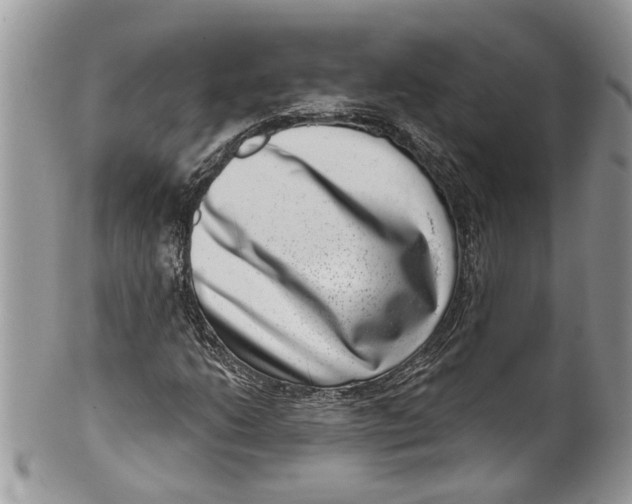 X0000099971206200806131524