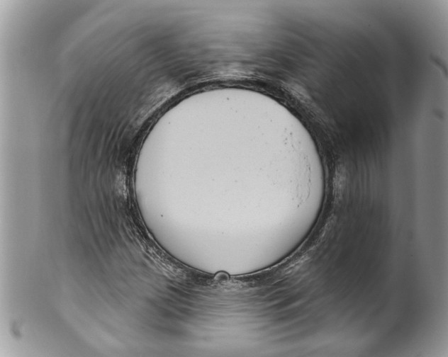 X0000099971209200806131524