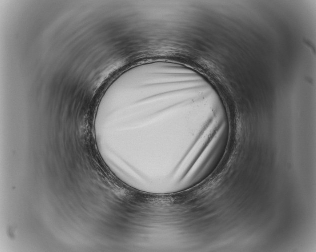 X0000099971210200806131524