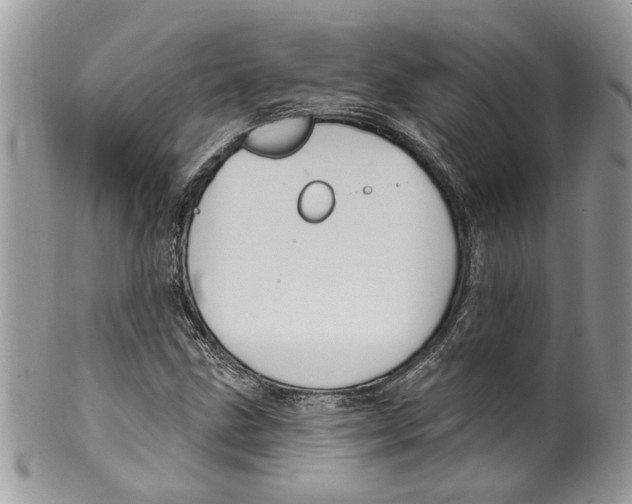 X0000099971211200806131525