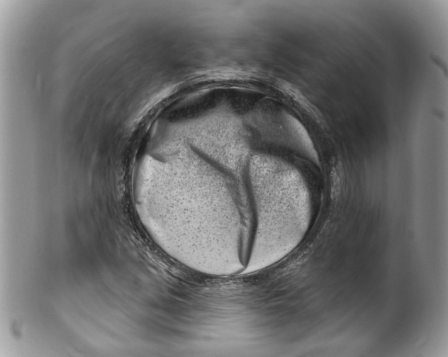 X0000099971213200806131525