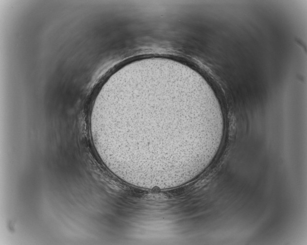 X0000099971215200806131525