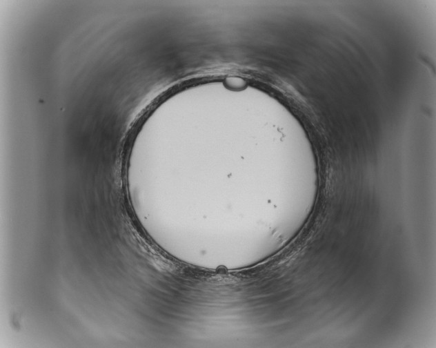 X0000099971216200806131525