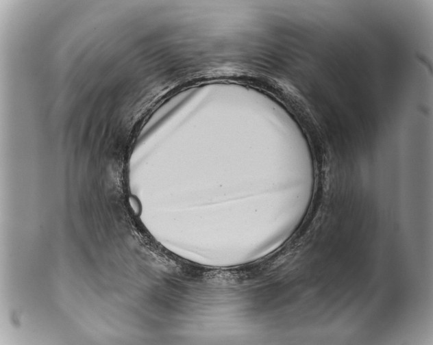 X0000099971217200806131525