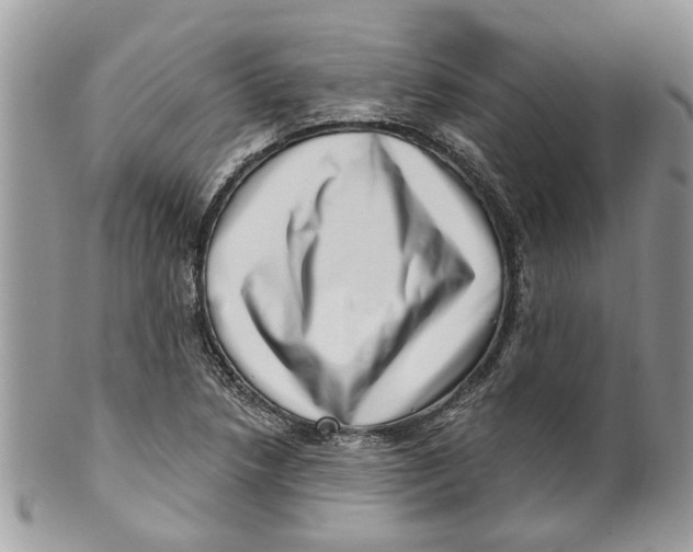 X0000099971218200806131525