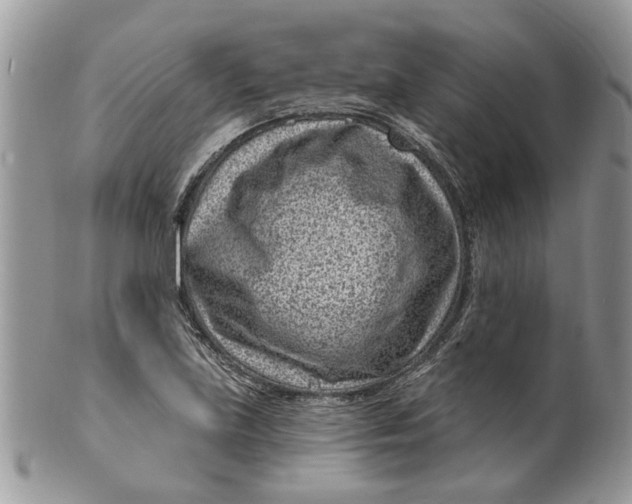 X0000099971219200806131525