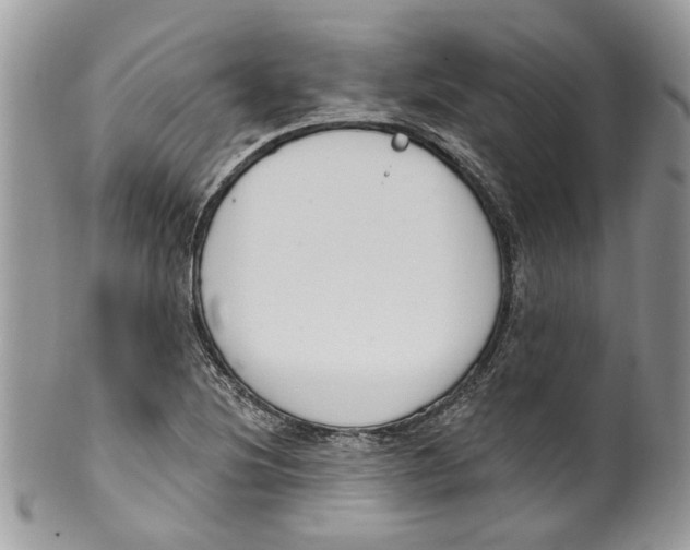 X0000099971220200806131525