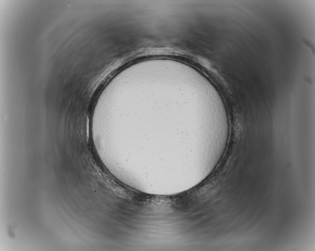 X0000099971221200806131525