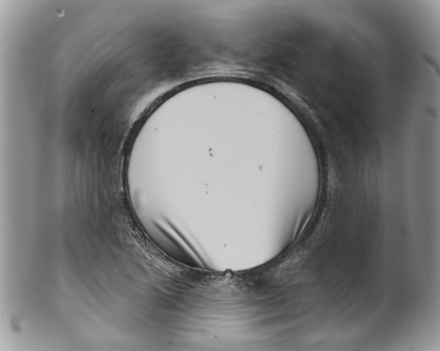 X0000099971222200806131525