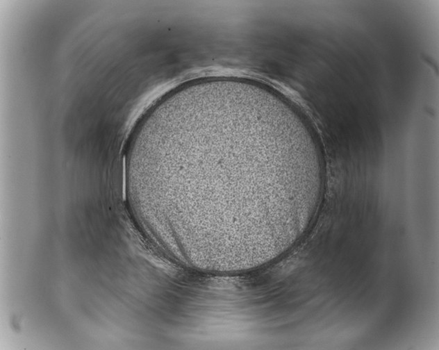 X0000099971223200806131525