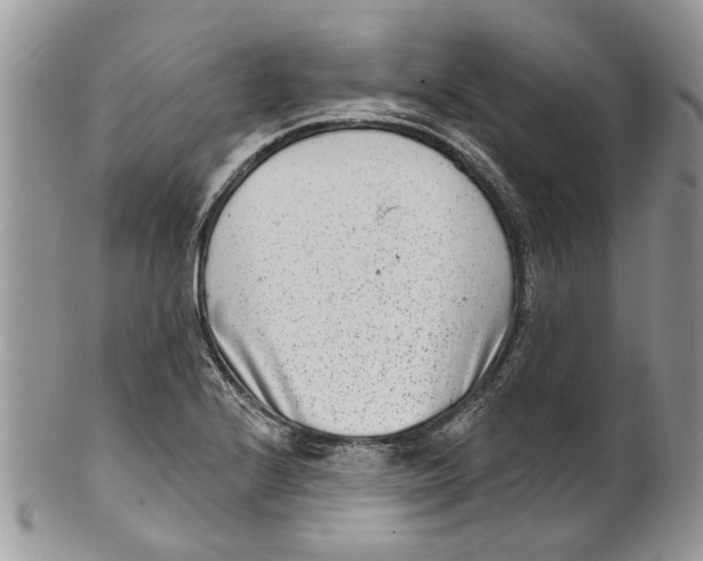 X0000099971224200806131525