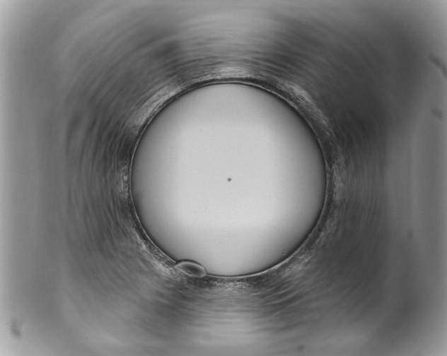 X0000099971225200806131525