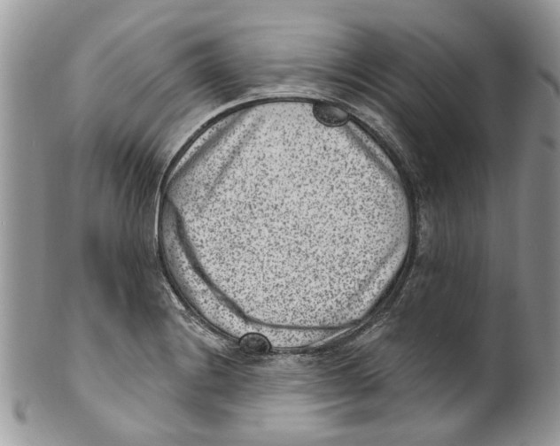 X0000099971228200806131525