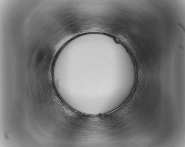 X0000099971230200806131525