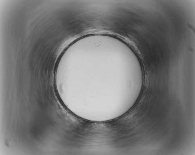 X0000099971231200806131525