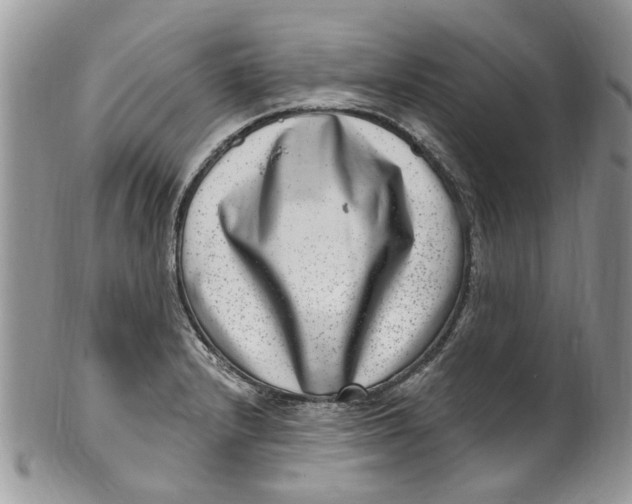 X0000099971232200806131525