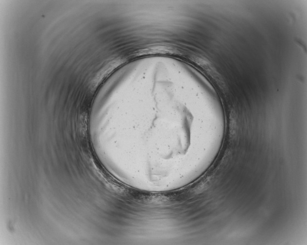 X0000099971233200806131525