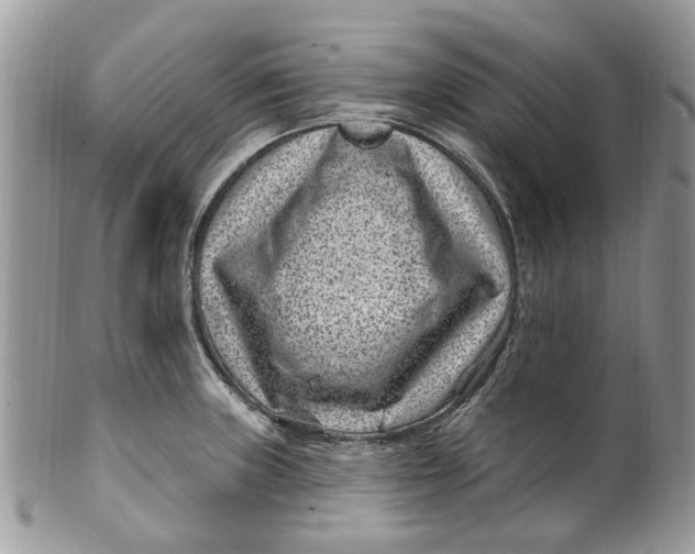 X0000099971235200806131525