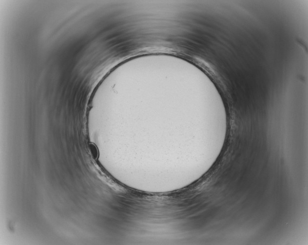 X0000099971236200806131525