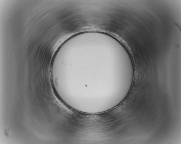 X0000099971239200806131525