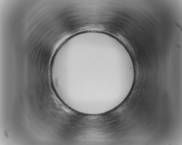 X0000099971240200806131525