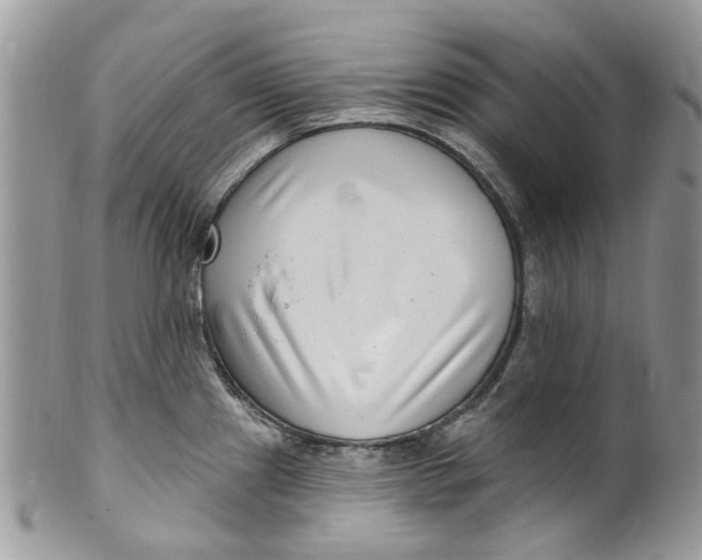 X0000099971241200806131525