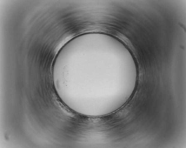 X0000099971242200806131525