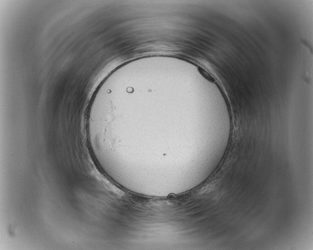 X0000099971243200806131525