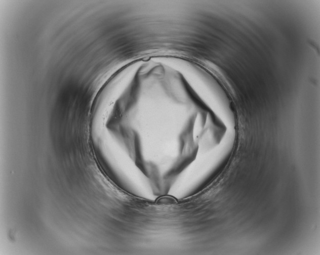 X0000099971244200806131525