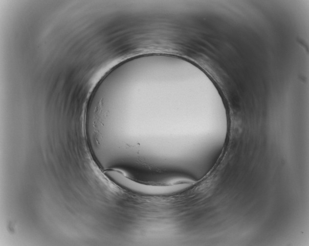 X0000099971246200806131525