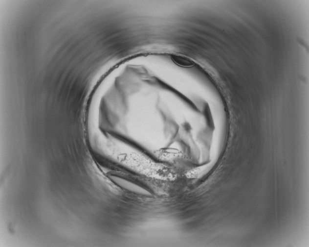 X0000099971248200806131525