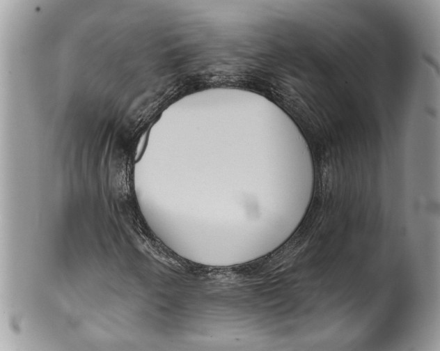 X0000099971250200806131524