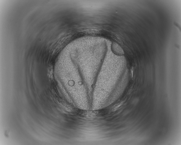 X0000099971251200806131524