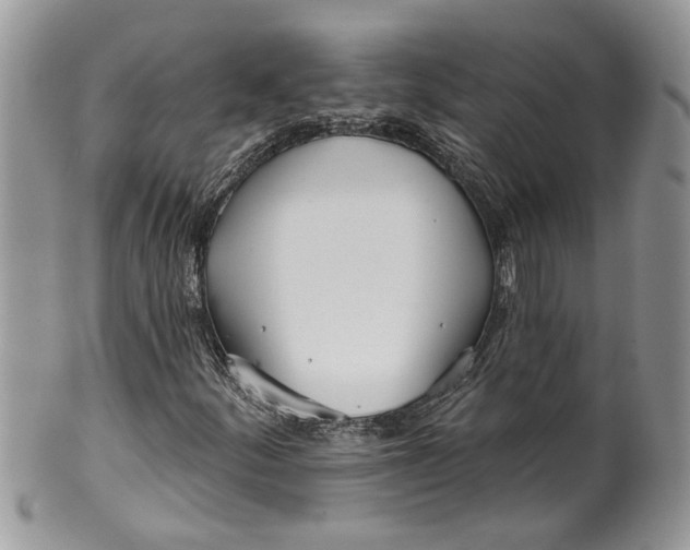 X0000099971252200806131524