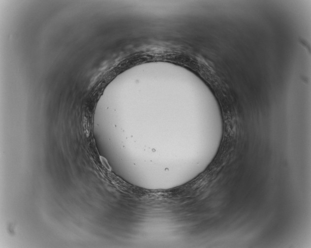 X0000099971253200806131524