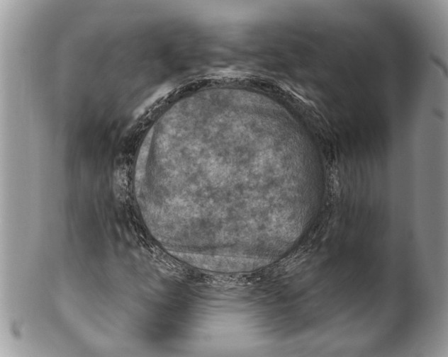 X0000099971254200806131524