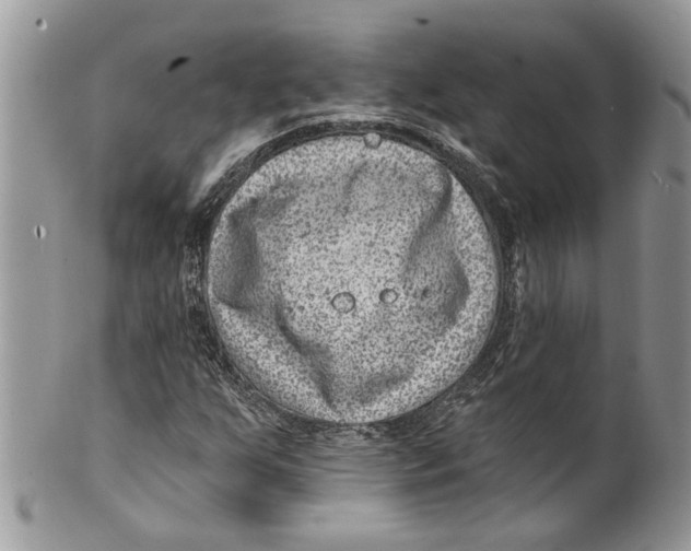 X0000099971255200806131524