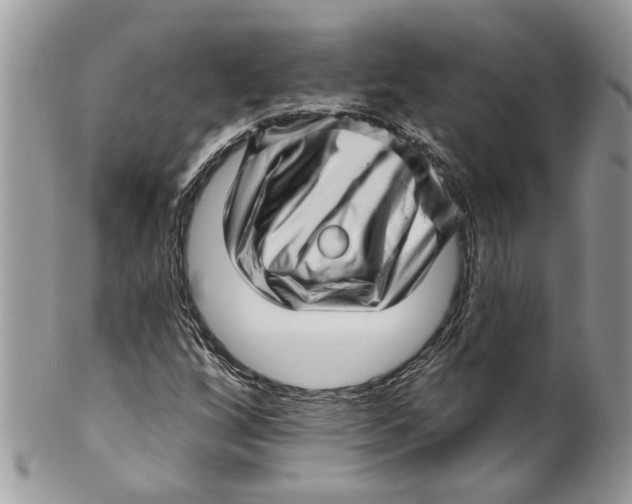 X0000099971256200806131524