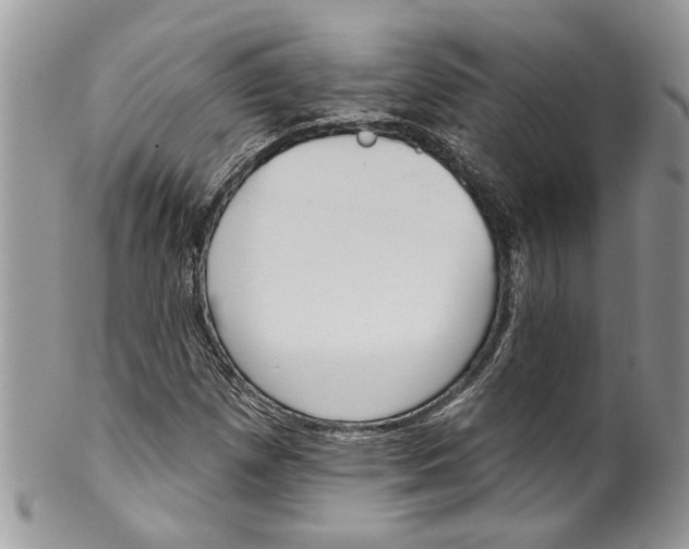 X0000099971257200806131524