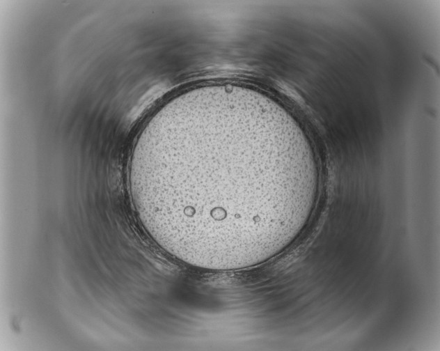 X0000099971259200806131524