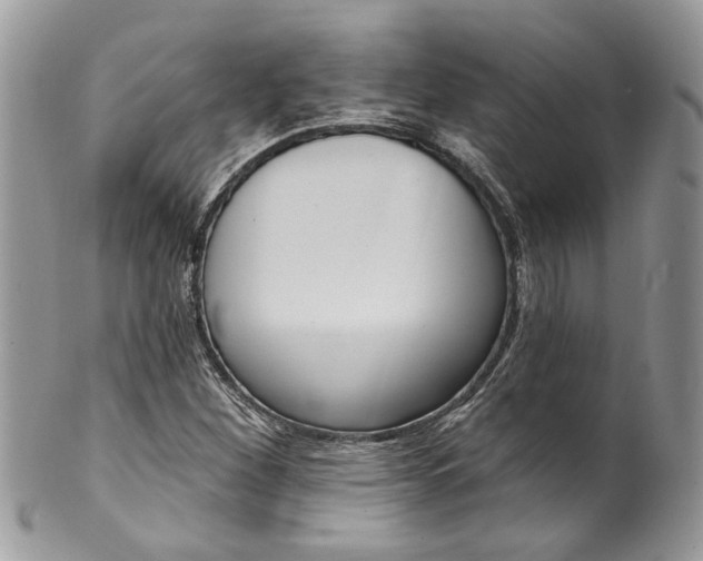 X0000099971260200806131524