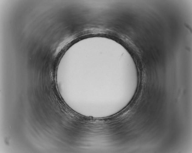 X0000099971261200806131524