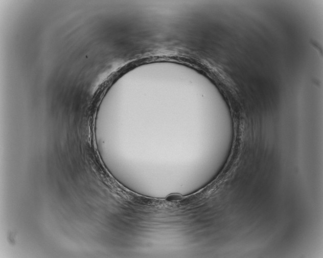 X0000099971262200806131524