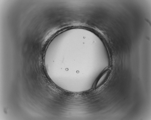 X0000099971263200806131524