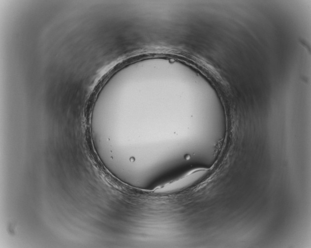 X0000099971264200806131524